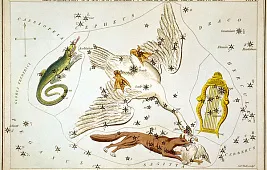 Шелиак