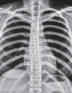 Набор 4M 00-03375 «Юный врач. Скелет человека», изображение 9