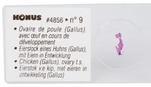 Набор микропрепаратов Konus 10: «Ящерицы, змеи и птицы», изображение 3