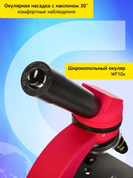 Микроскоп Levenhuk Discovery Nano с книгой, изображение 17