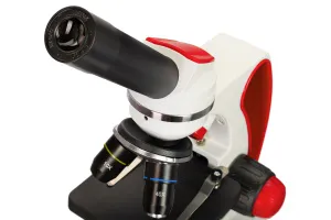 Микроскоп Levenhuk Discovery Pico с книгой, изображение 10