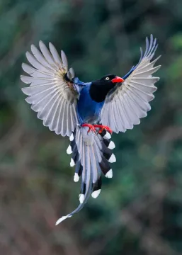 Фототелескоп Levenhuk Kelvin MAK90 AZ GOTO Wi-Fi, изображение 7