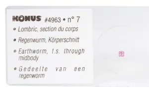 Набор микропрепаратов Konus 10: «Биология» (часть 1), изображение 5