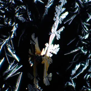 Устройство простой поляризации MAGUS SPD1, изображение 7