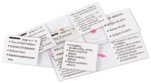 Набор микропрепаратов Konus 25: «Клетки и ткани животных», изображение 4