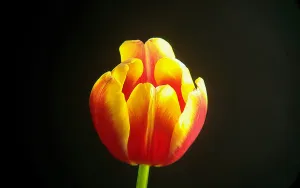 Фототелескоп Levenhuk Kelvin MAK90 AZ GOTO Wi-Fi, изображение 9