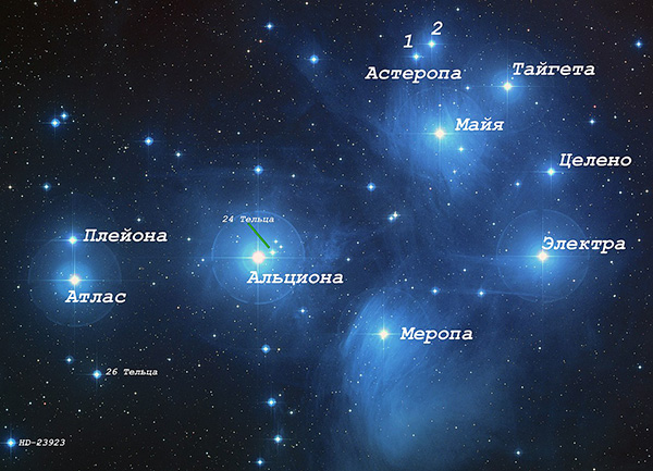 Звездные плеяды